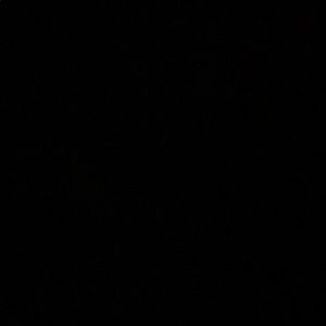 Meet your Posher, Angeles